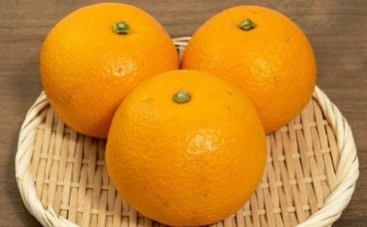 åžå°ååæå±±çç£çŽ
å
«æçŽ5kgïŒãµã€ãºæ··åïŒâ
2026å¹ŽïŒæäžæ¬é ããé æ¬¡çºéå
è¡äºçŽïŒœïŒ»TM88