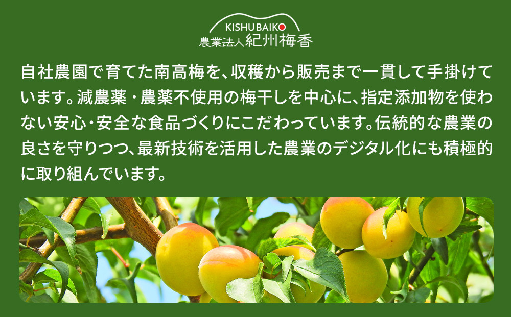 国産はちみつ梅 無添加 梅干し 訳あり つぶれ梅 低塩6% 1kg(500g×2パック) 化学調味料 無添加食品［KU1］