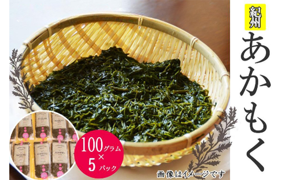 紀州あかもく［由良町産］100g×5パック（2025年産）【SL10】