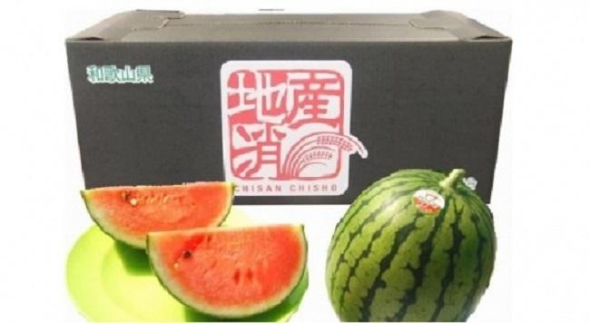 小玉スイカ【ひとりじめ】３玉入り