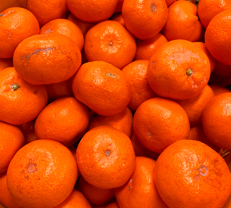 シサ縺泌ョカ蠎ュ逕ィ險ウ繧「繝ェシス邏蟾樊怏逕ー逕」貂ゥ蟾槭∩縺九s7.5kgシサ2026蟷エ11譛井ク区流莉・髯咲匱騾シスシサ蜈郁。御コ育エシスシサUT10シス