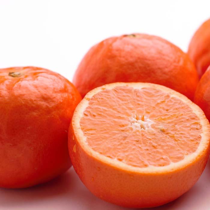 シサ蜈郁。御コ育エシス螳カ蠎ュ逕ィ 繧サ繝溘ヮ繝シ繝ォ繧ェ繝ャ繝ウ繧ク5kg+250gシ亥す縺ソ陬懷─蛻シ会シサ譏・縺ソ縺九sシスシサ險ウ縺ゅjシスシサ蜈峨そ繝ウ繧オ繝シ鬟溘∋鬆蜃コ闕キシスシサIKE152シス