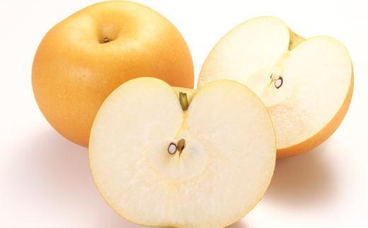 åæå±±çç£ã®æ¢šçŽ2kg(åçš®ããŸãã)â
2026幎8æäžæ¬é ããé æ¬¡çºéãTM181ã