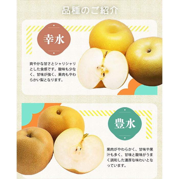 梚 3ç åç²§ç®±å
¥ çŽå·åæå±± ãã€ããç£ïŒ»2026幎8æäžæ¬ä»¥éçºéäºå®ïŒœïŒ»UT98