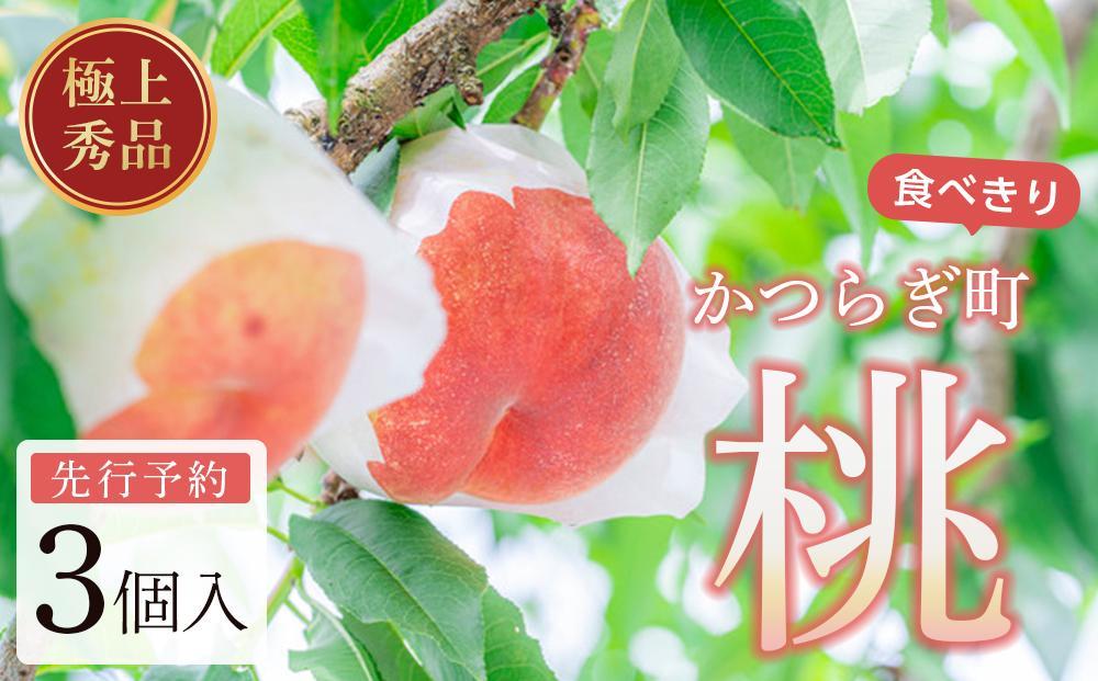 桃 極上秀品 食べきりやすい３個入 ［先行予約］［2026年6月下旬頃より順次発送］こだわり農家厳選！［KG1］