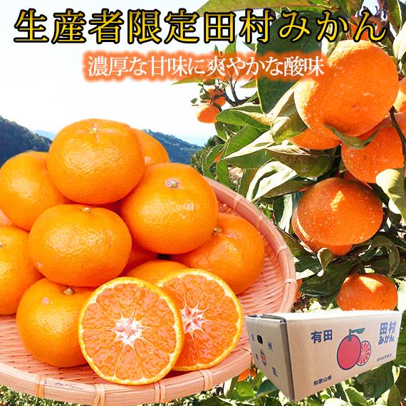 高級ブランド田村みかん　10kg［2026年11月下旬以降発送］［先行予約］［UT17］