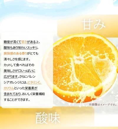 秀品 希少な国産バレンシアオレンジ 2.5kg［2026年6月下旬頃～2026年7月上旬頃に順次発送］［UT75］