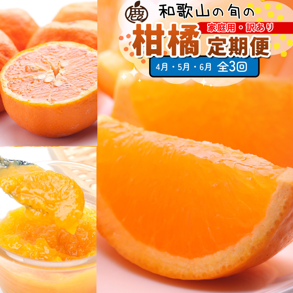 家庭用 柑橘定期便M（4〜6月）全3回 ［IKE311］