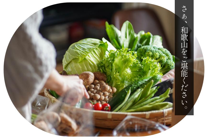 旬の新鮮野菜詰め合わせ 8種以上【野菜セット】
