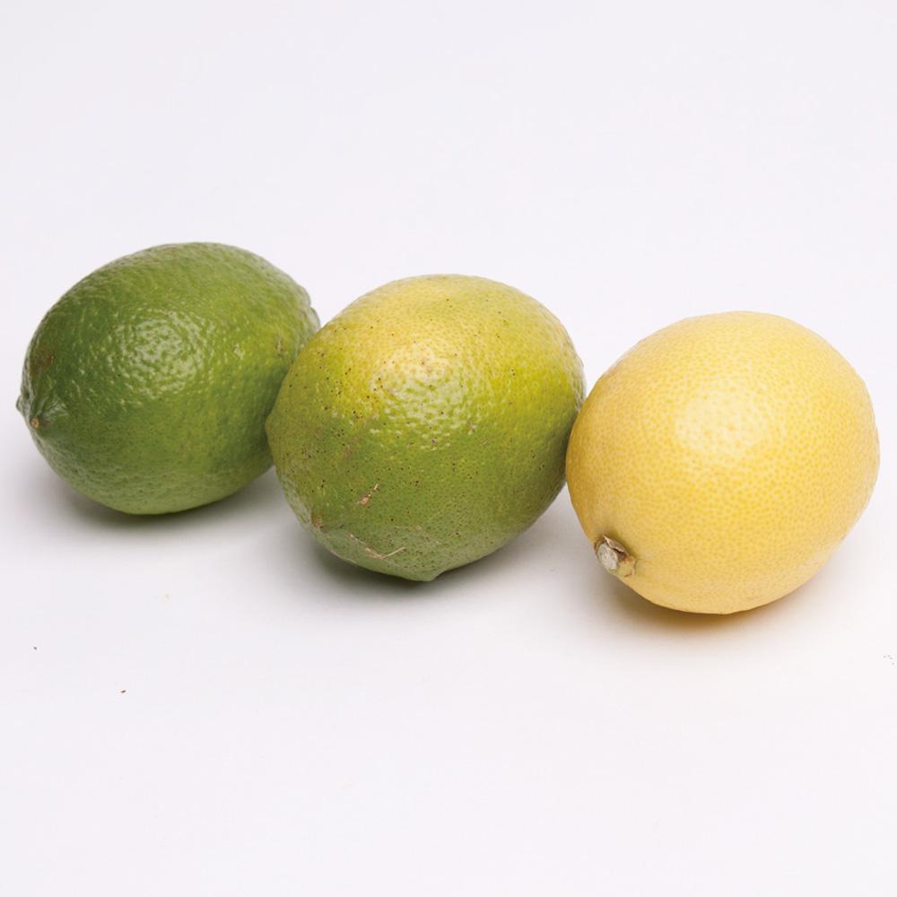 å®¶åºçš ã¬ã¢ã³2.5kg+250gïŒå·ã¿è£ååïŒãåæå±±æç°ç£ããé²è
å€ã»WAXäžäœ¿çšãå®å¿ã®åœç£ã¬ã¢ã³ããããããã»èš³ããã¬ã¢ã³ã IKE124