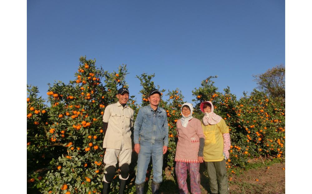 æšãªãã¯ã£ããã¿ãããå®¶åºçš 5kgç®±å
¥ãWS9ã