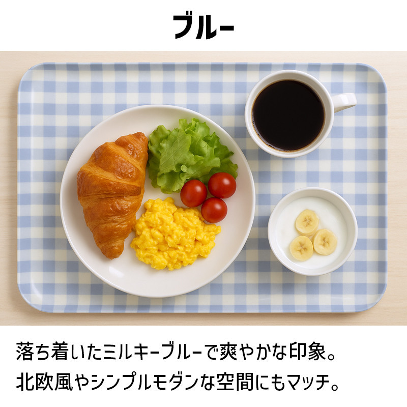 TATSU-CRAFT ãã°ããããã¬ãŒ SS 21.5cm ãã«ããŒãã§ã㯠BL ãã«ãŒ ãã¹ãæ¢ãä»ã Tk1064