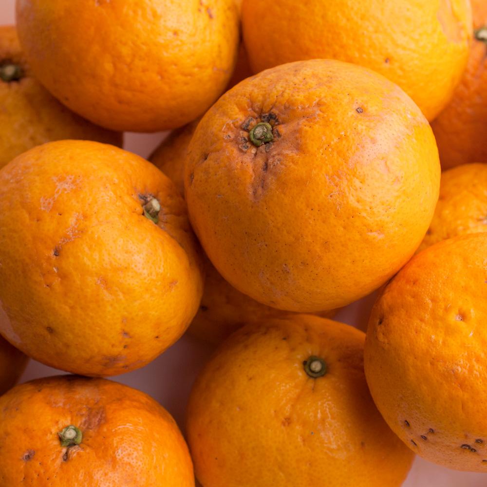 å
è¡äºçŽïŒœå®¶åºçš ç倿5kg+250gïŒå·ã¿è£ååïŒïŒ»åå€ã®ã¿ããã»æ¬ã®æç©ïŒœïŒ»æç°ç£ïŒœïŒ»å
ã»ã³ãµãŒé£ã¹é åºè·ïŒœïŒ»ããããã»èš³ããIKE75