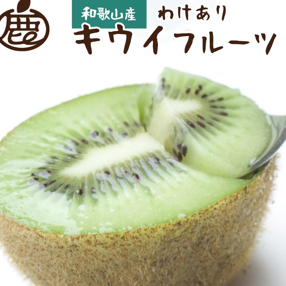 ［先行予約］家庭用 キウイ5kg+250g（傷み補償分）【わけあり・訳あり・扁平果】［IKE104］