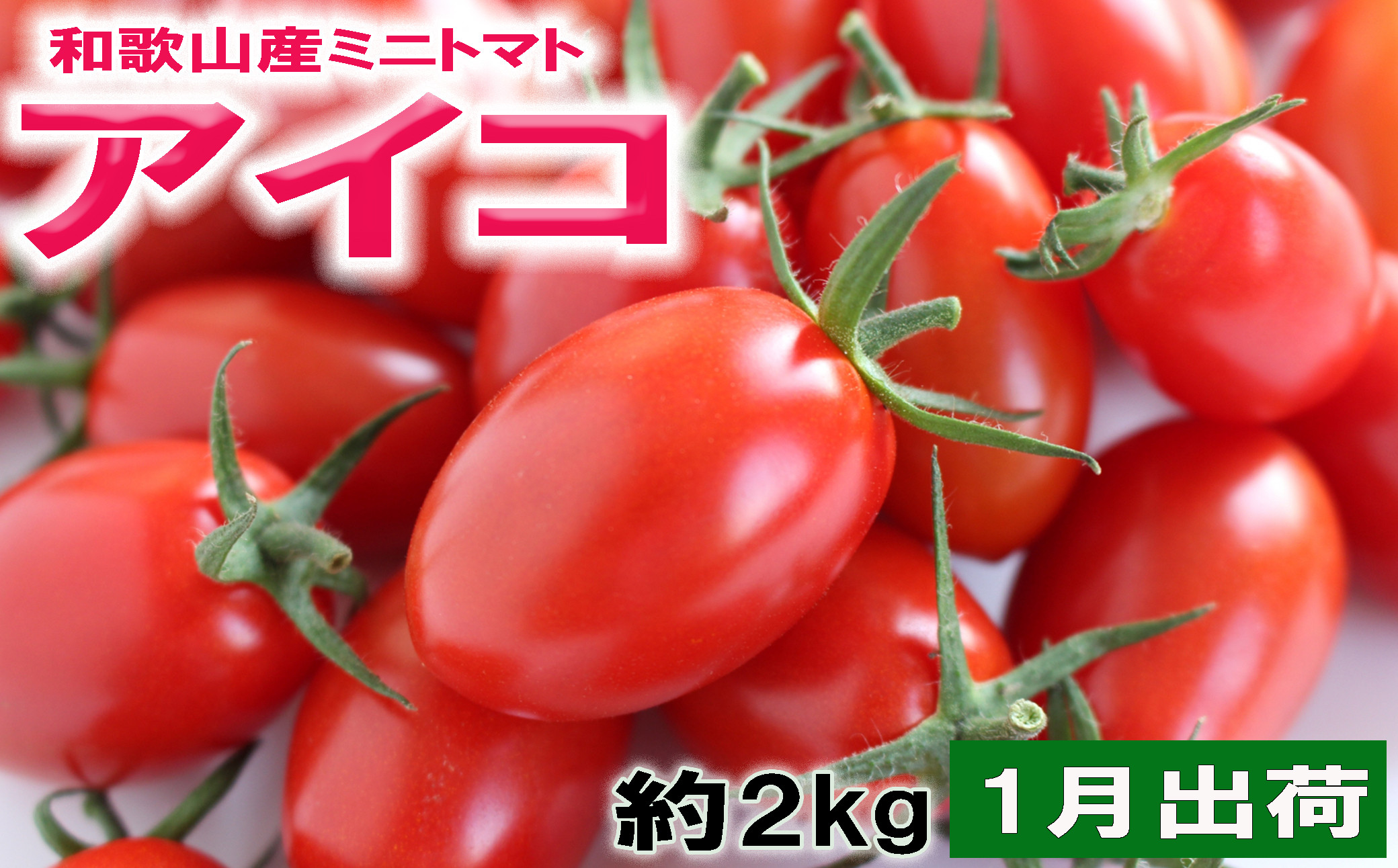 ［2027年1月出荷分］和歌山産ミニトマト「アイコトマト」約2kg（M・Lサイズおまかせ）［TM260］