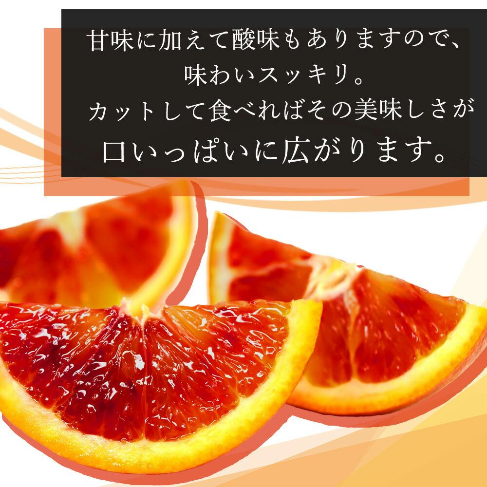 蟶悟ー代↑譟第ゥ!邏蟾樊怏逕ー逕」繝悶Λ繝繝峨が繝ャ繝ウ繧ク邏5kg シサ縺泌ョカ蠎ュ逕ィシスシサ2027蟷エ3譛井ク頑流莉・髯咲匱騾シスシサ蜈郁。御コ育エシスシサUT89シス