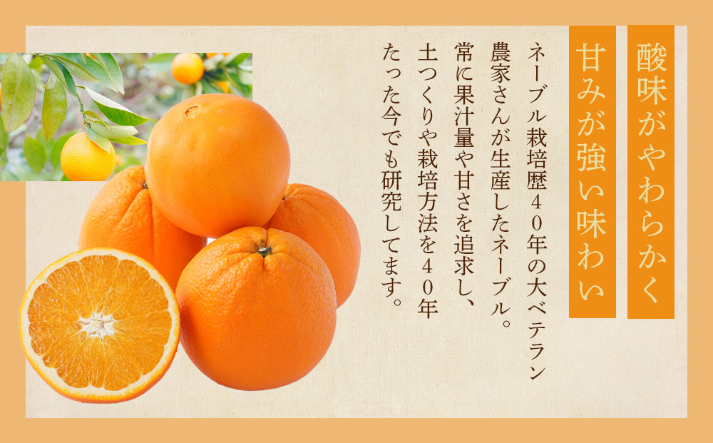 [先行予約] 和歌山県産ネーブル 約4kg　大玉（8個～9個）秀品 こだわり農家厳選 ［KG35］