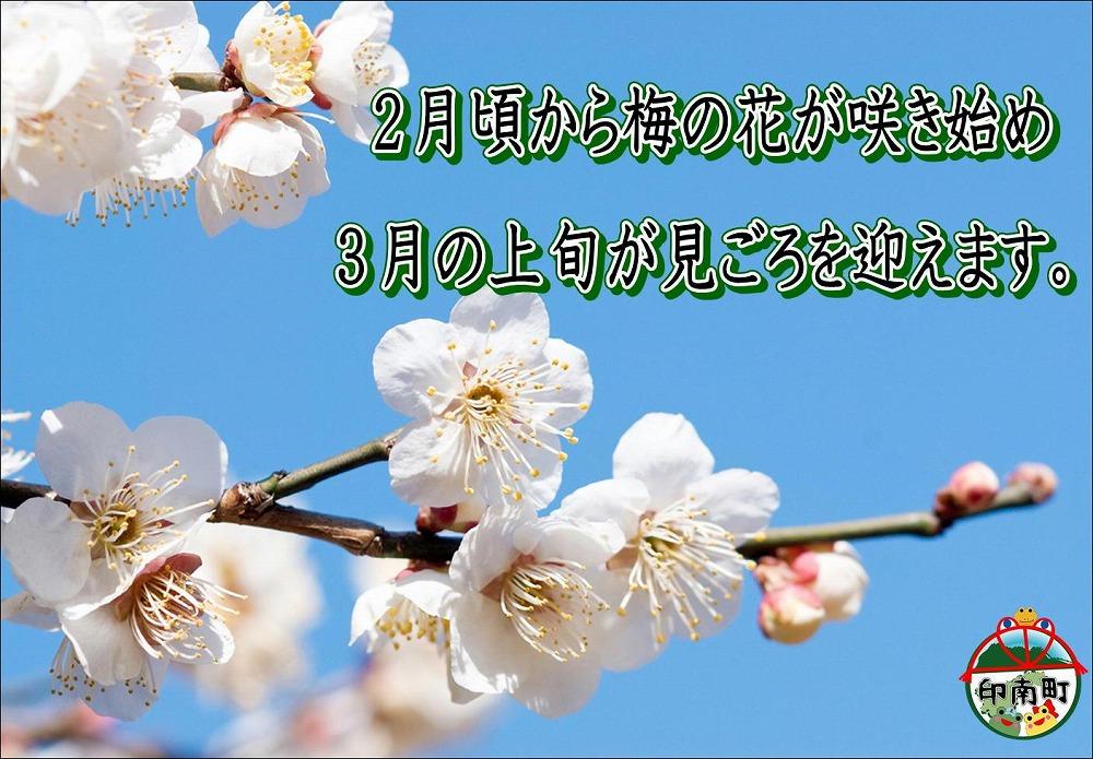 縲仙ョカ蠎ュ逕ィ縲醍エ蟾槫漉鬮俶「縲縺薙s縺カ譴縲1.2kg