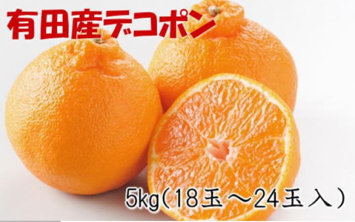 ［お味濃厚］紀州有田産のデコポン約5kg(18玉～24玉入り・青秀以上)★2026年2月中旬頃より順次発送［TM26］
