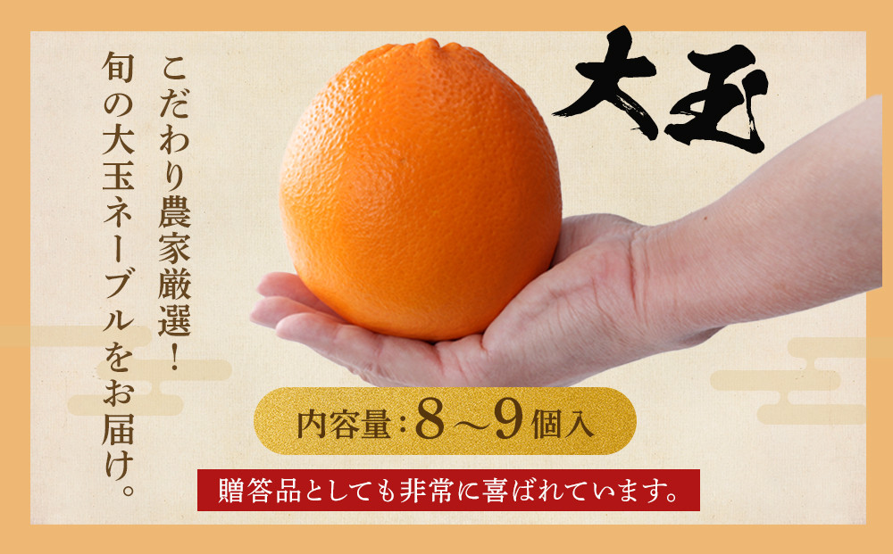 [先行予約] 和歌山県産ネーブル 約4kg　大玉（8個～9個）秀品 こだわり農家厳選 ［KG35］