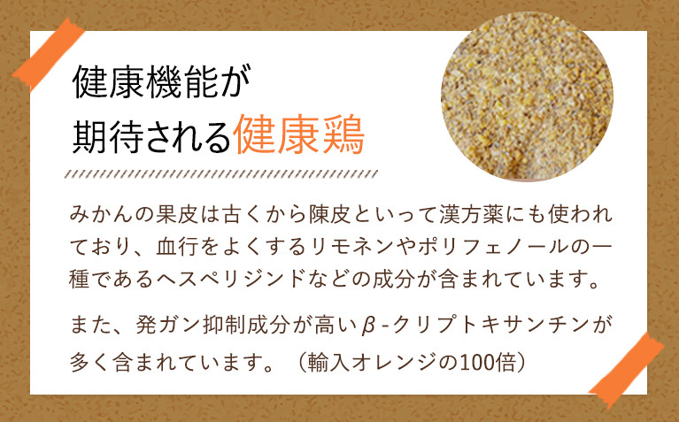 紀の国みかんどり　鶏水炊きセット