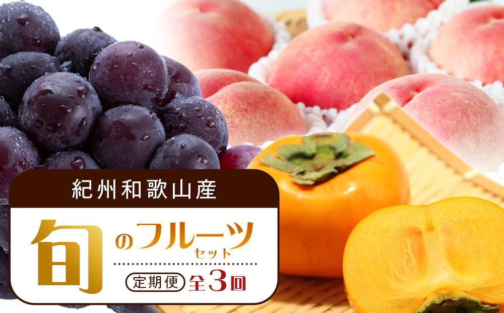 【7・8・10月 全3回】紀州和歌山産旬のフルーツセット（桃・ピオーネ・ひらたねなし柿）定期便 【魚鶴商店】【UT67】