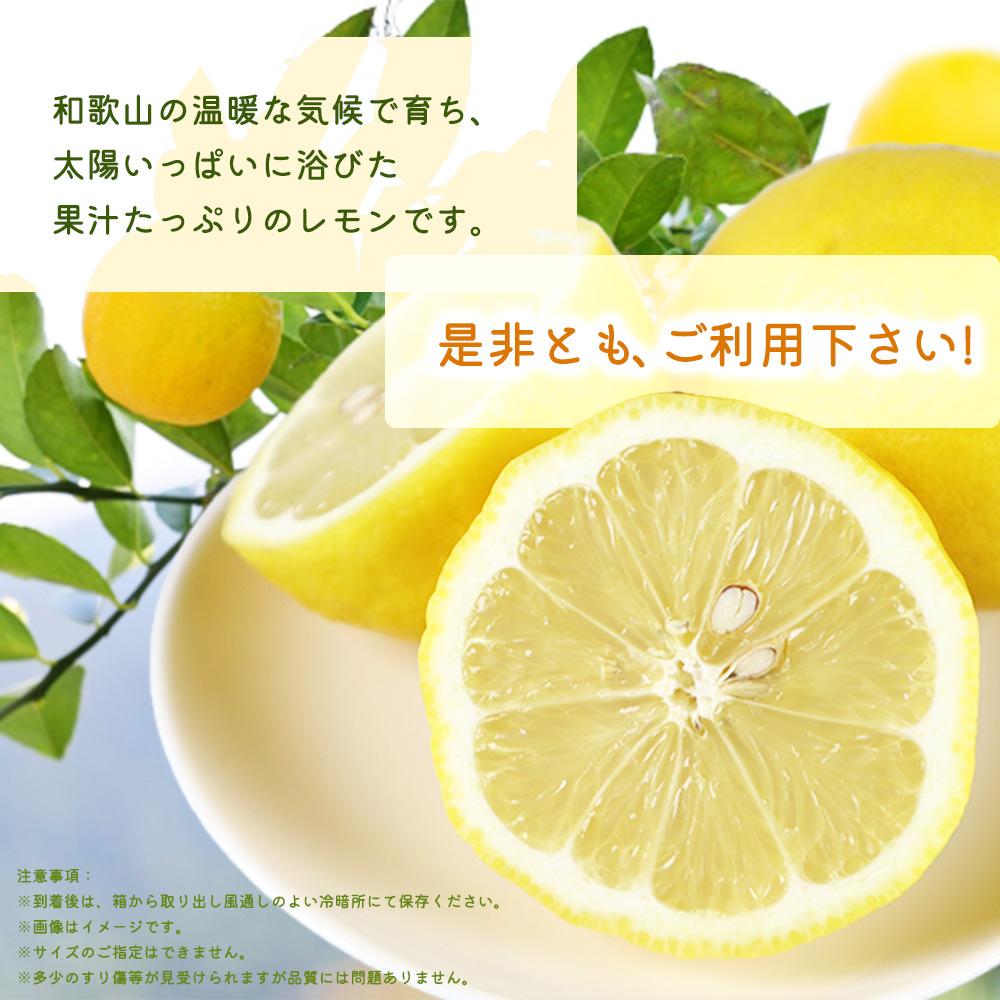 ç§åãçŽå·æç°ç£ã¬ã¢ã³ã2.5kg2027幎3æäžæ¬ä»¥éçºéå
è¡äºçŽïŒœïŒ»UT45