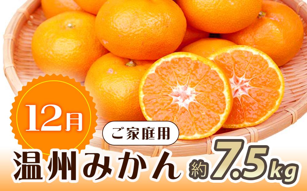 縲10繝サ11繝サ12譛 蜈ィ3蝗槭大柱豁悟アア逕」 縺ソ縺九s縺ィ譟ソ縺ョ縺頑・ス縺励∩ 螳壽悄萓ソ 縲宣ュ夐カエ蝠蠎励代振T111縲