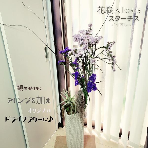 生花《スターチス》 花職人Ikeda（バイオレット）