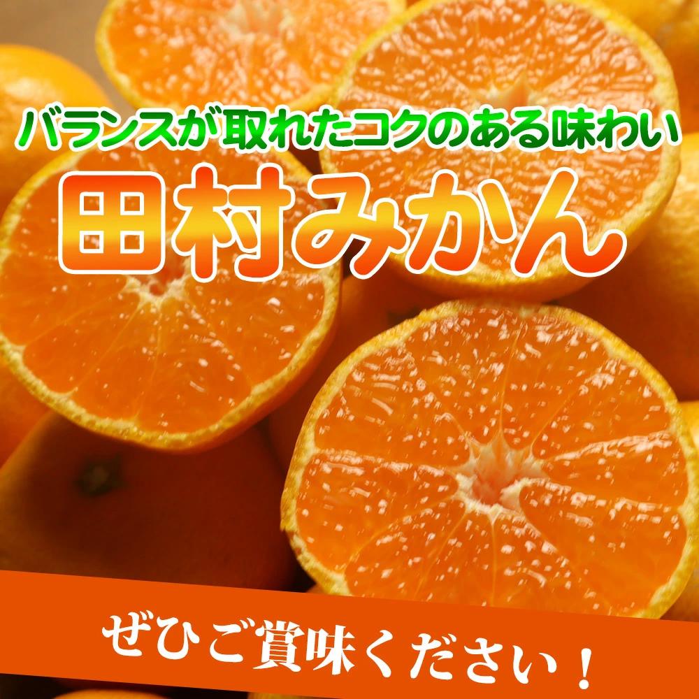 ［ご家庭用訳あり］田村みかん　5kg［2026年11月下旬以降発送］［先行予約］［UT18］