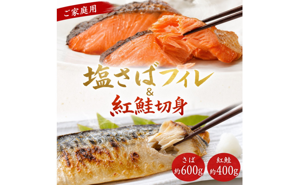 【ご家庭用訳あり】人気の塩さばフィレ＆紅鮭切身セット計1kg【UT63】