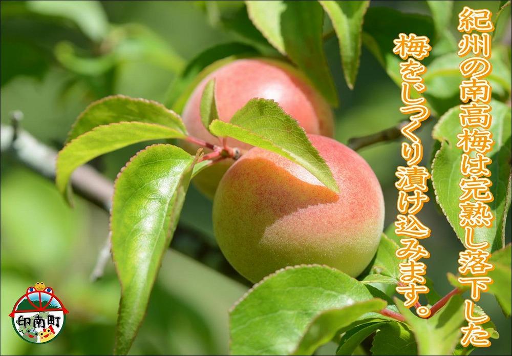 縲仙ョカ蠎ュ逕ィ縲醍エ蟾槫漉鬮俶「縲縺ッ縺。縺ソ縺、譴縲1.2kg