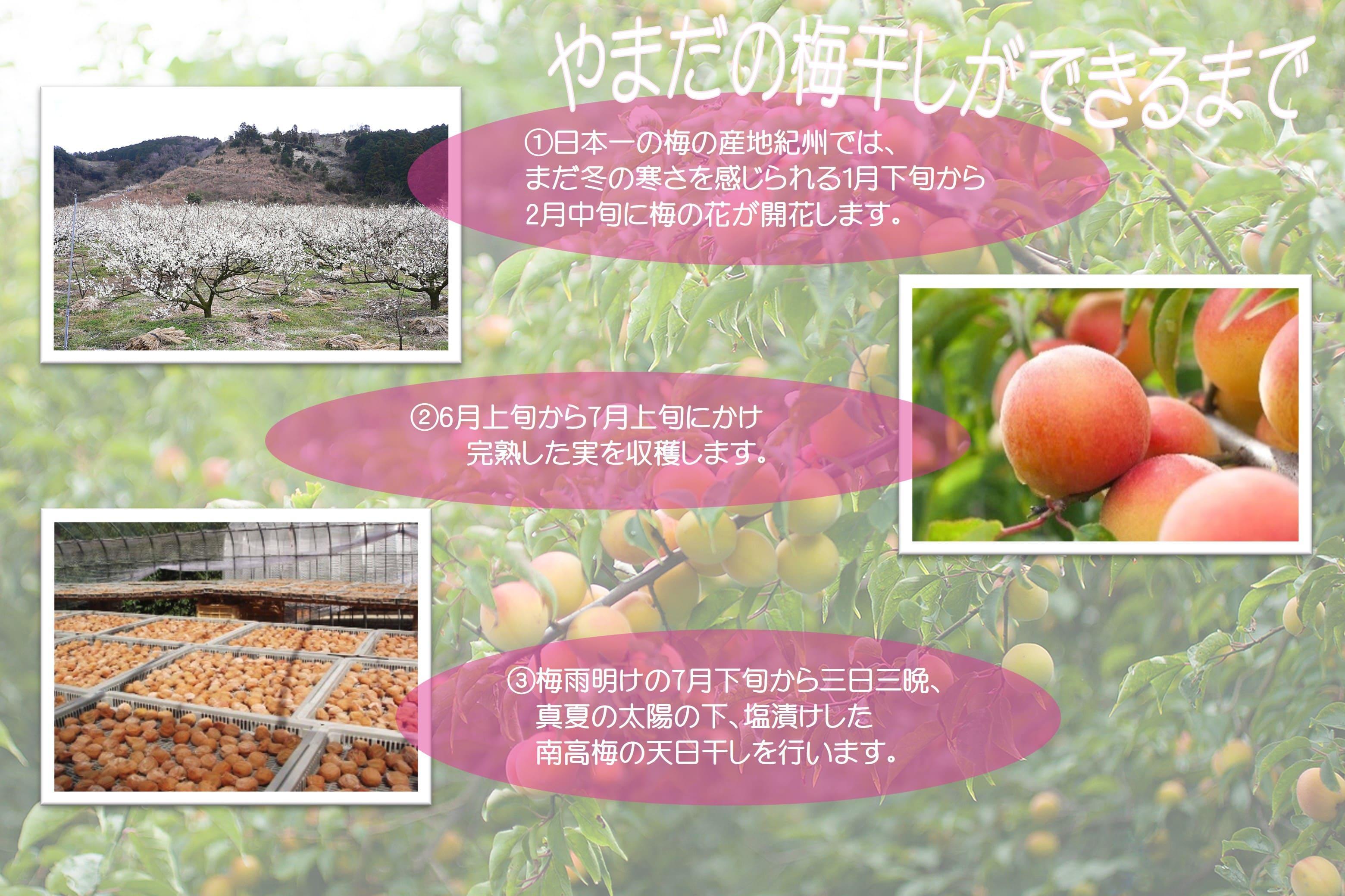 邏蟾槫漉鬮俶「 縺励◎ 蝪ゥ蛻邏15シ 850g シサYM6シス