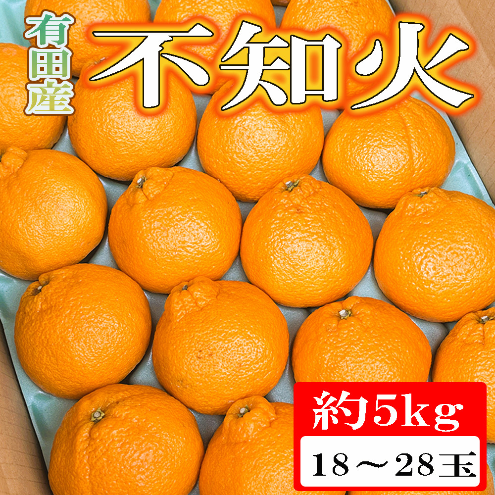 ［濃厚］有田の不知火約5kg（18～28玉）★2027年2月下旬頃より順次発送［TM35w］