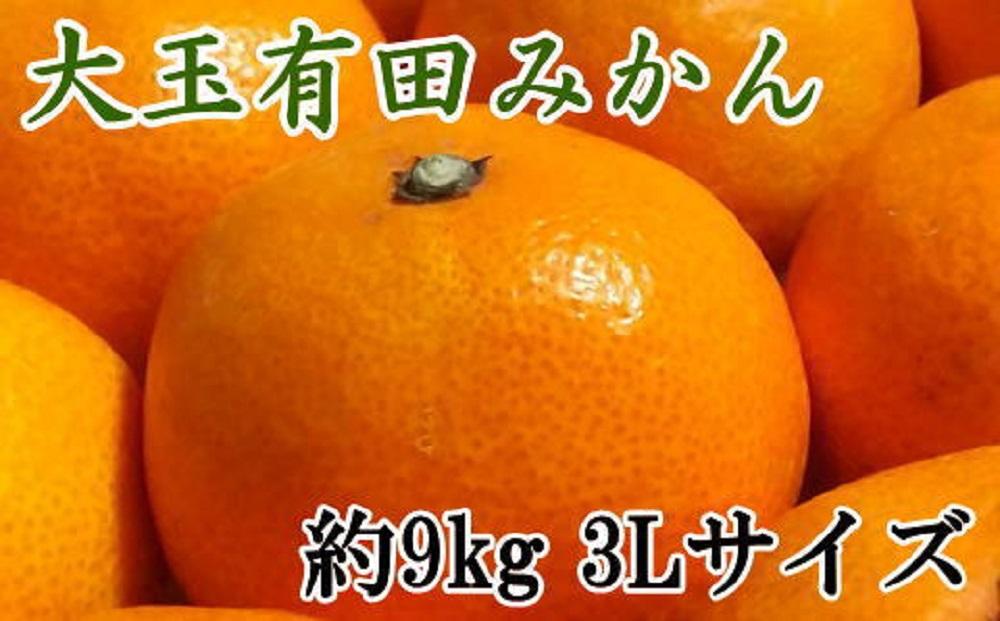 ［食べごたえ十分］和歌山有田みかん大玉約9kg(3Lサイズ・秀品）★2026年11月中旬頃より順次発送