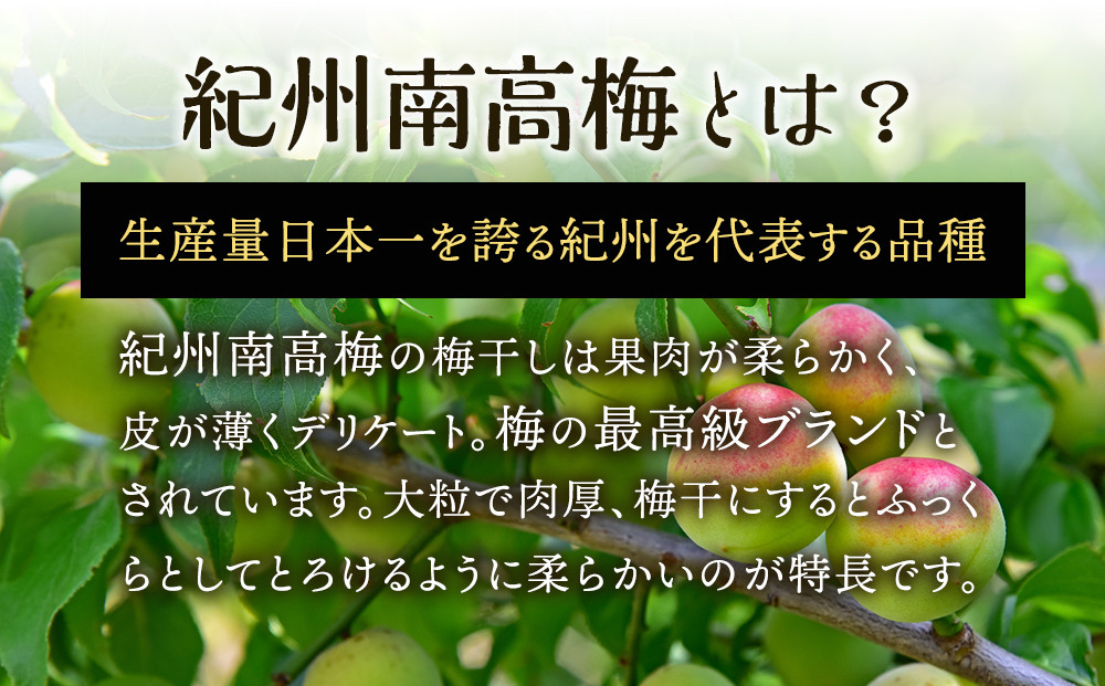 邏蟾槫漉鬮俶「菴ソ逕ィ 2遞ョ鬟溘∋豈斐∋ 縺ッ縺。縺ソ縺、 縺縺吝。ゥ蜻ウ 螳檎滓「蟷イ縺励サ縺励◎莉戊セシ縺ソ螳檎滓「蟷イ縺 辟。驕ク蛻・ 蜷邏800g シサTM213シス