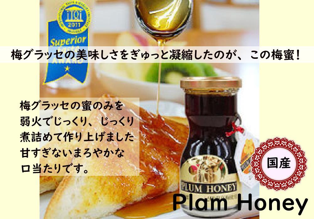 ふみこ農園 梅グラッセ&梅蜜セット（小） ［FN5］