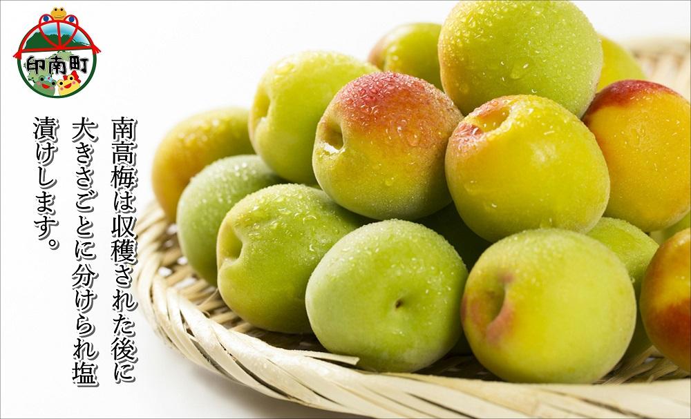 çŽå·å髿¢
ã峿¢
ïŒçœå¹²ãæ¢
ïŒ1.2kgïŒ300ïœÃ4ïŒ