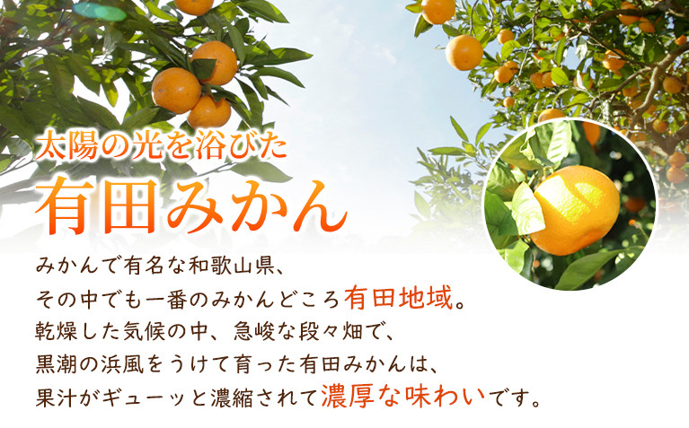 シサ蜈郁。御コ育エシス螳カ蠎ュ逕ィ 蟆上&縺ェ譛臥伐縺ソ縺九s5kg+250gシ亥す縺ソ陬懷─蛻シ会シサ2026蟷エ10譛亥晄流縺九i2027蟷エ1譛域忰譌・鬆鬆谺。逋コ騾∽コ亥ョ夲シスシサIKE245シス