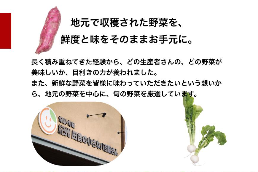 旬の新鮮野菜詰め合わせ 8種以上【野菜セット】