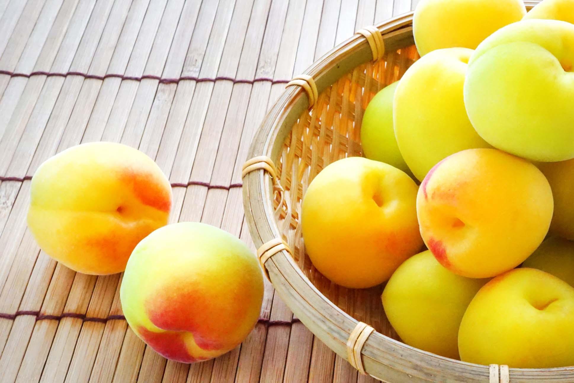 ［梅干・梅酒用］大玉4Lサイズ約2kg 熟南高 生梅 赤秀品＜2026年6月上旬〜7月7日発送予定＞［ART01］