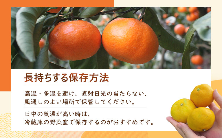 シサ蜈郁。御コ育エシス螳カ蠎ュ逕ィ 阡オ蜃コ縺励∩縺九s2.5kg+250gシ亥す縺ソ陬懷─蛻シ会シサ2027蟷エ1譛井クュ譌ャ縺九i2027蟷エ2譛域忰譌・鬆縲鬆谺。逋コ騾∽コ亥ョ夲シスシサIKE224シス