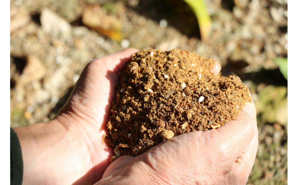 æšãªãã¯ã£ããã¿ãã èŽççšç¹éž 10kgç®±å
¥ãWS8ã