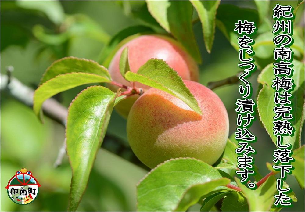 縲仙ョカ蠎ュ逕ィ縲醍エ蟾槫漉鬮俶「縲縺薙s縺カ譴縲1.2kg