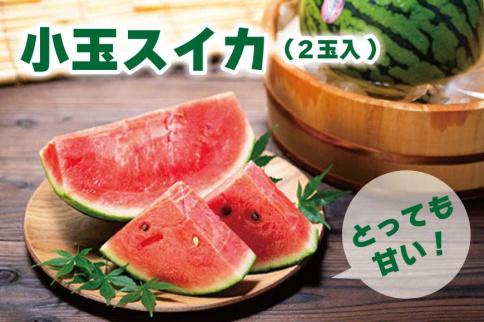 とっても甘い！食べきりサイズの小玉スイカ　ひとりじめ　2玉入［HC2］