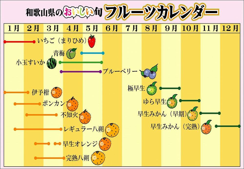 とまと梅　100g×5個