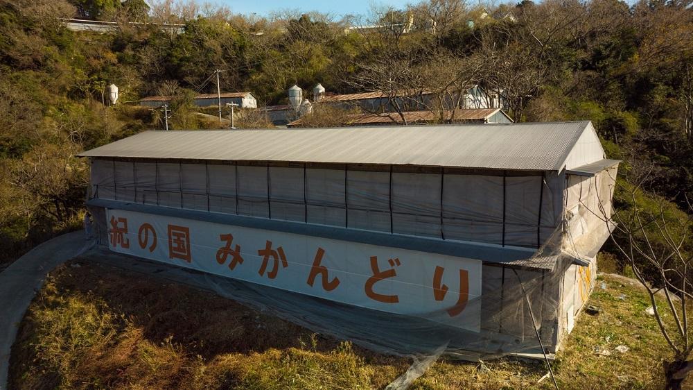 邏縺ョ蝗ス縺ソ縺九s縺ゥ繧翫繝ュ繝シ繧ケ繝医Ξ繝繧ー繧サ繝繝