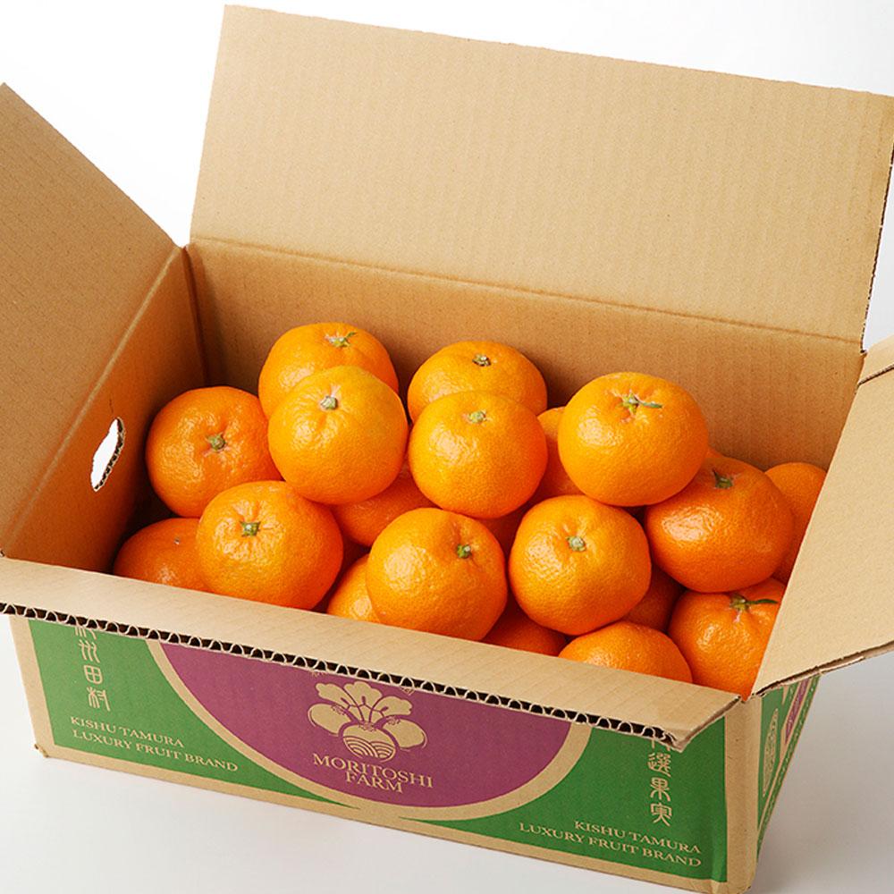 高級ブランド 秀品 紀州有田 田村産 みかん 約3kg