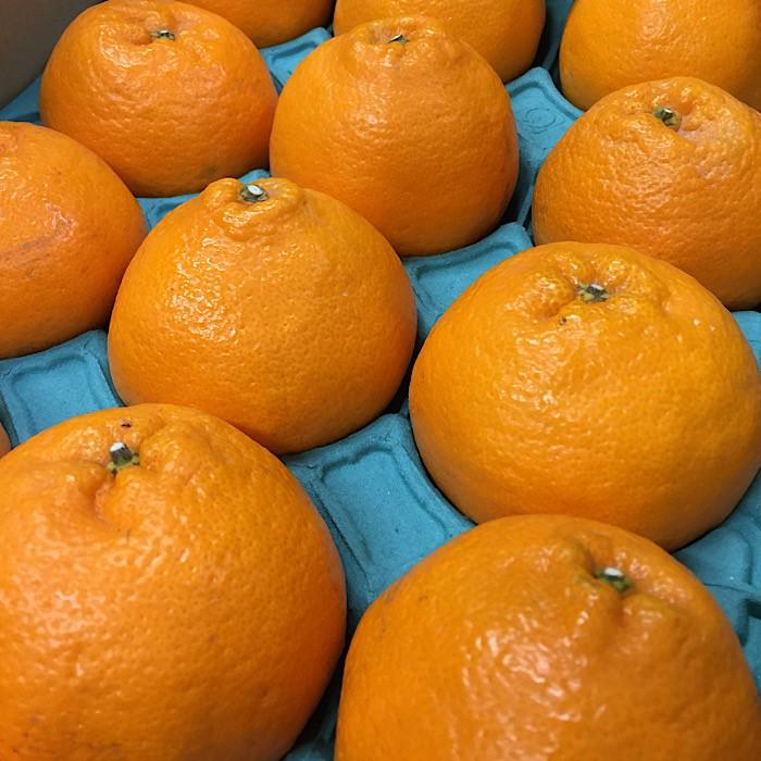 åæå±±ç£ äžç¥ç«ïŒ»12çïœ24çç§åUS63