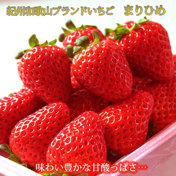 紀州和歌山ブランドいちご「まりひめ」約280g×2P【2026年1月上旬頃～2026年2月下旬頃に順次発送】【UT38】